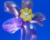 Crystal Flower - Peter Burford